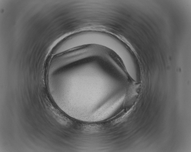 X0000084030830200703161803