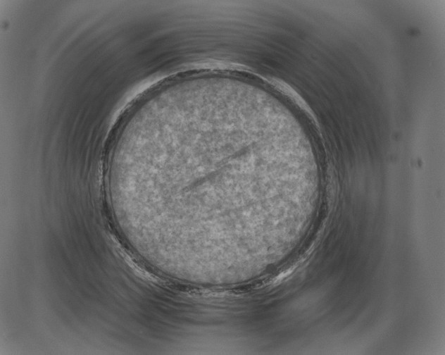 X0000084030831200703161803