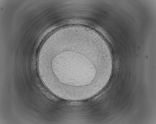 X0000084030832200703161803