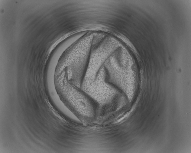 X0000084030834200703161803