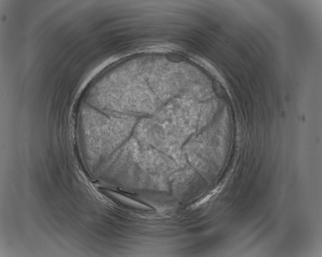 X0000084030835200703161803