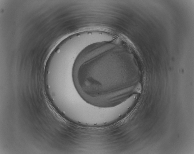 X0000084030836200703161803