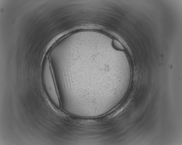 X0000084030837200703161803