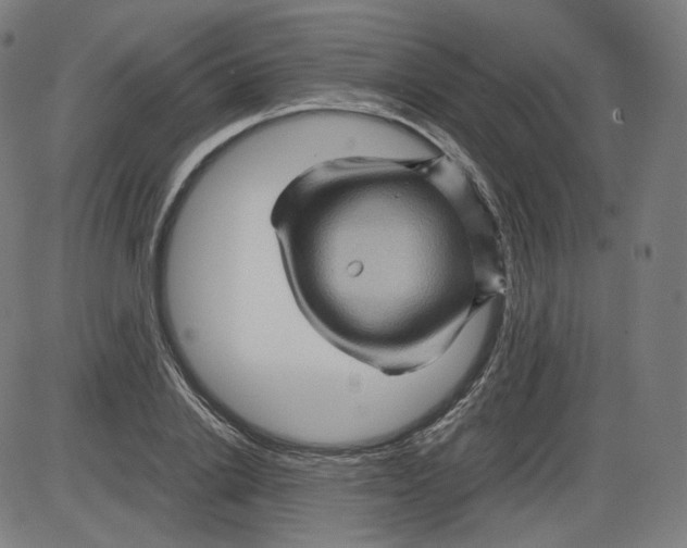 X0000084030838200703161804