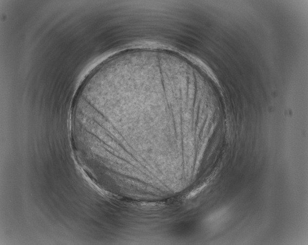 X0000084030839200703161804