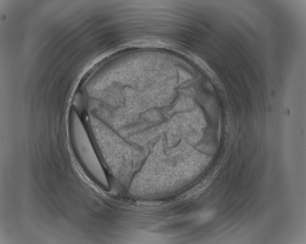 X0000084030840200703161804