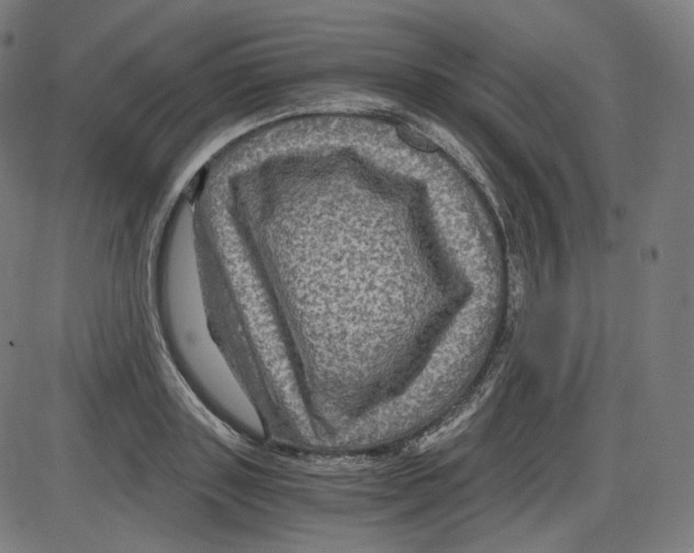 X0000084030843200703161804