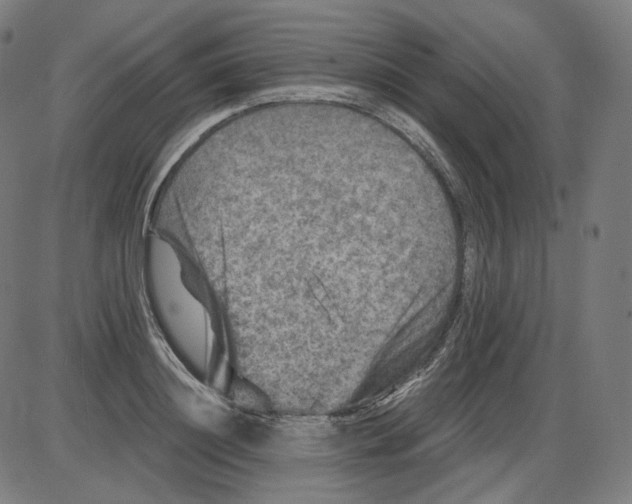 X0000084030844200703161804