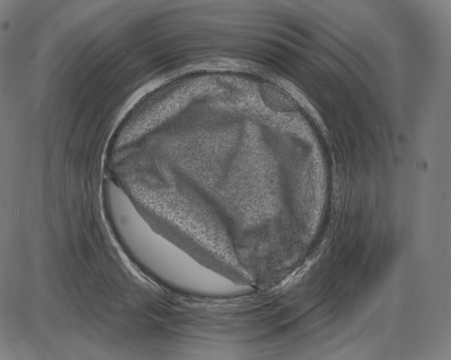 X0000084030845200703161804