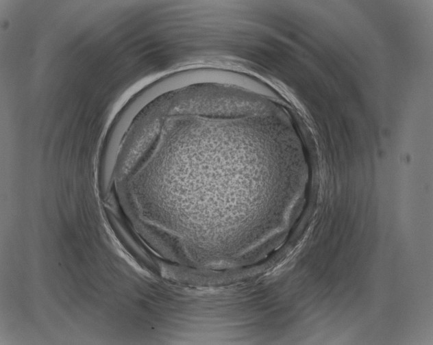 X0000084030846200703161804