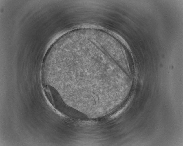 X0000084030847200703161804