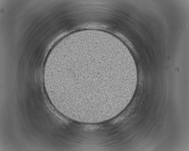 X0000084030848200703161804