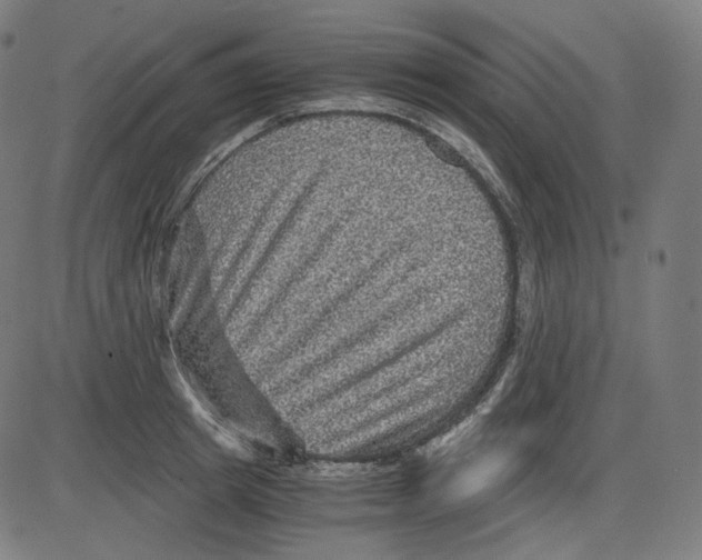 X0000084030849200703161804