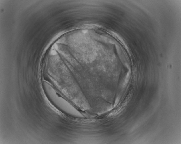 X0000084030851200703161804