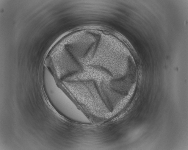 X0000084030852200703161804