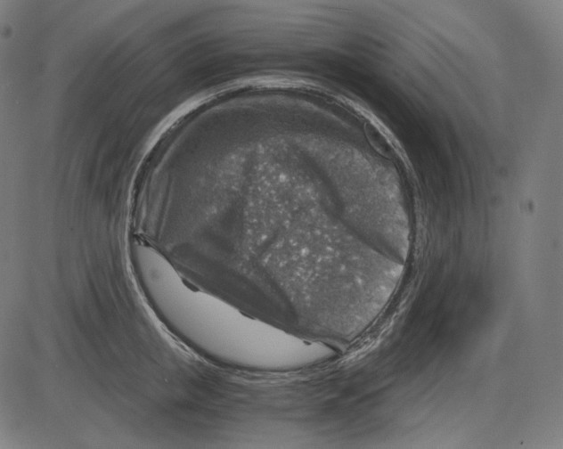 X0000084030853200703161804