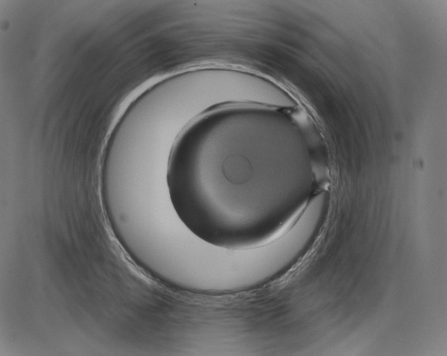 X0000084030854200703161804