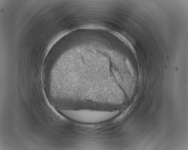 X0000084030855200703161804