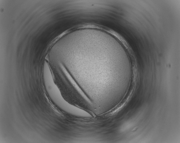 X0000084030857200703161804