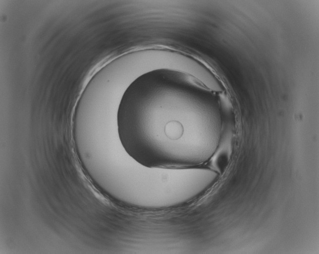 X0000084030858200703161804