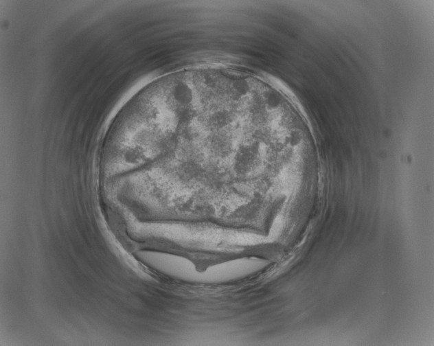 X0000084030859200703161804