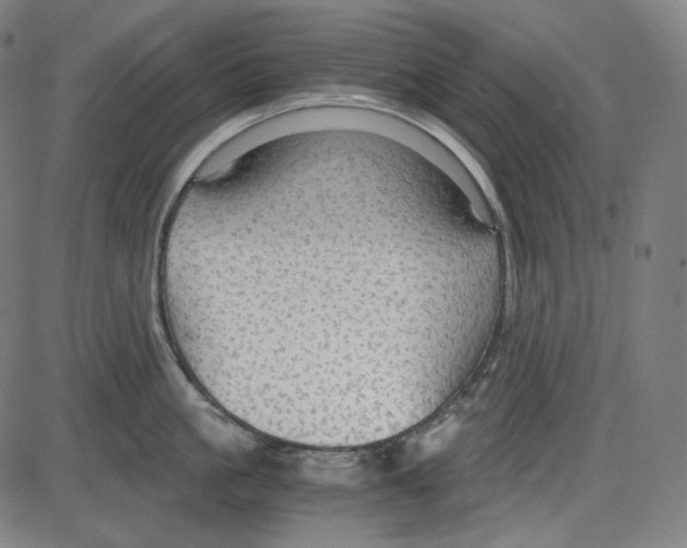 X0000084030861200703161804