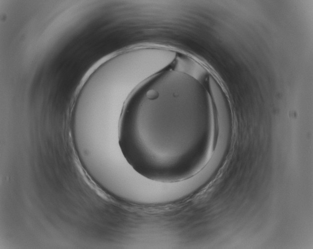 X0000084030862200703161804