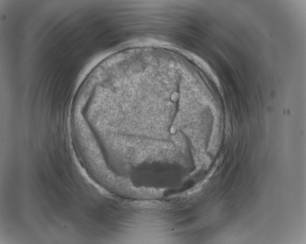 X0000084030863200703161804