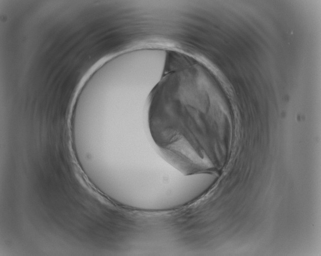 X0000084030864200703161804