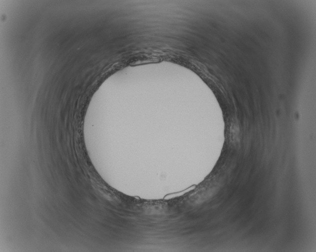 X0000084030865200703161803