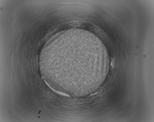 X0000084030867200703161803