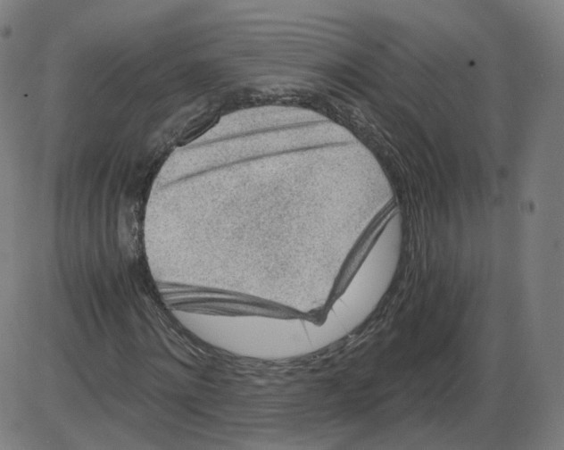 X0000084030868200703161803