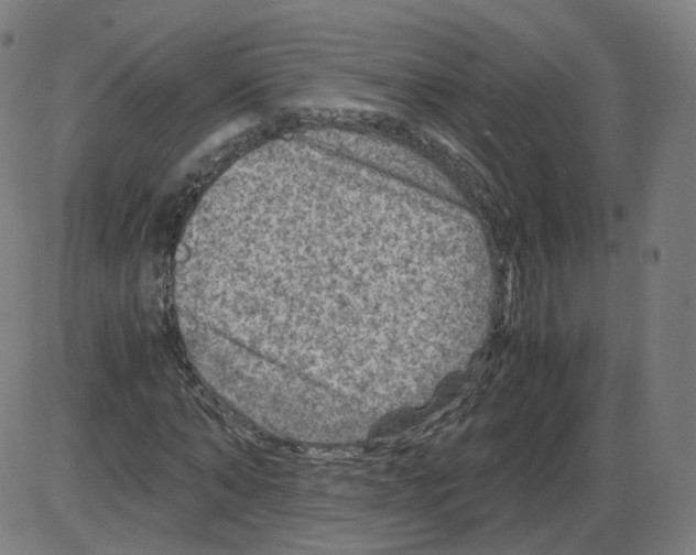 X0000084030870200703161803