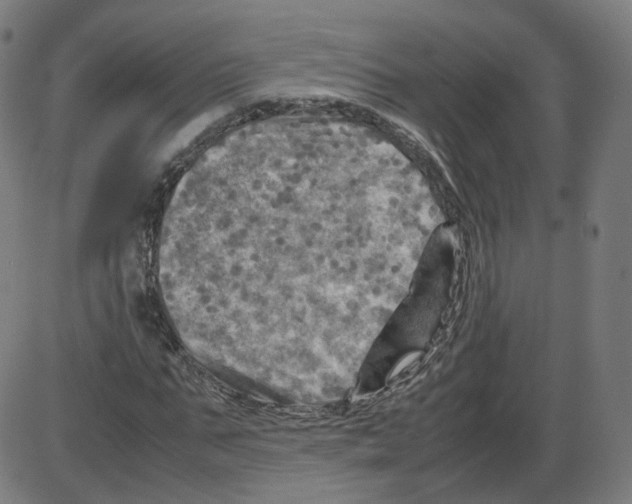 X0000084030871200703161803