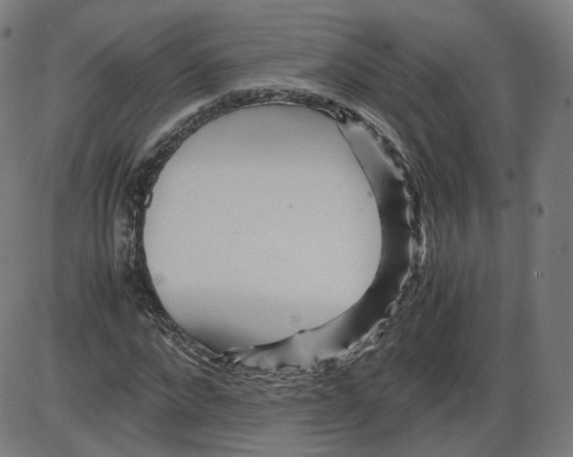 X0000084030872200703161803