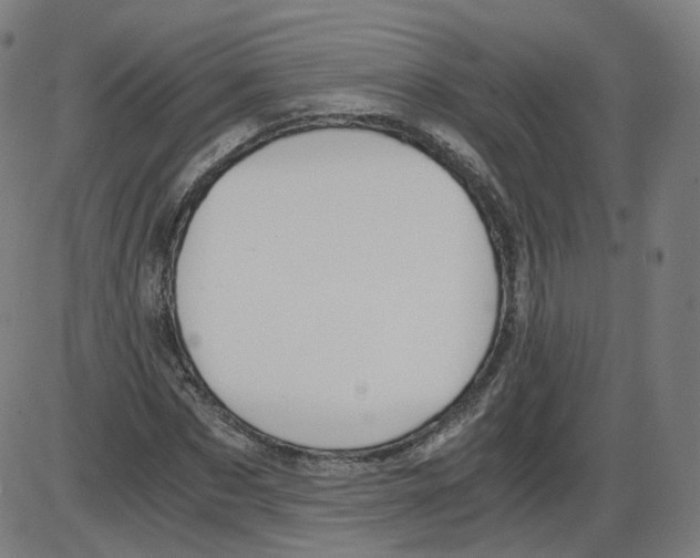 X0000084030873200703161803