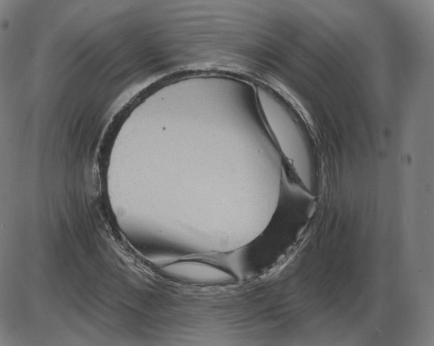 X0000084030876200703161803