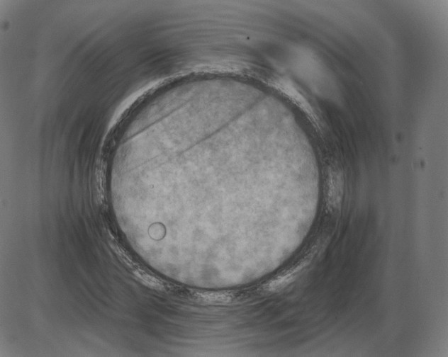 X0000084030878200703161803