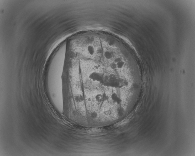 X0000084030879200703161803