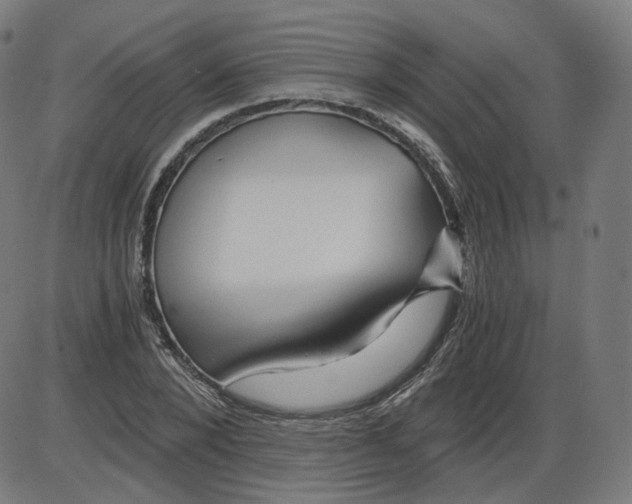 X0000084030880200703161803