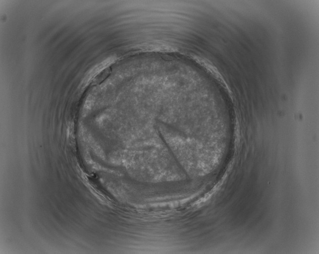 X0000084030881200703161803