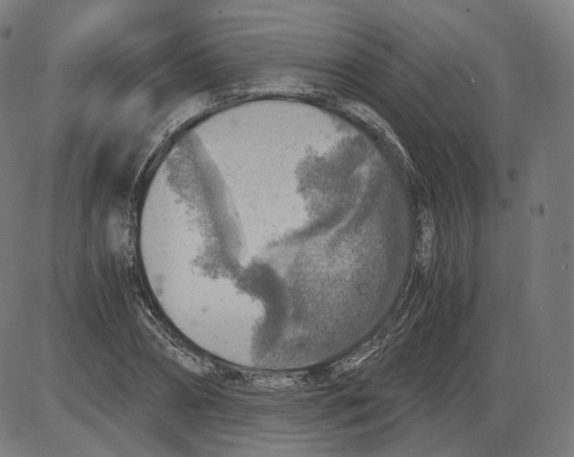 X0000084030882200703161803