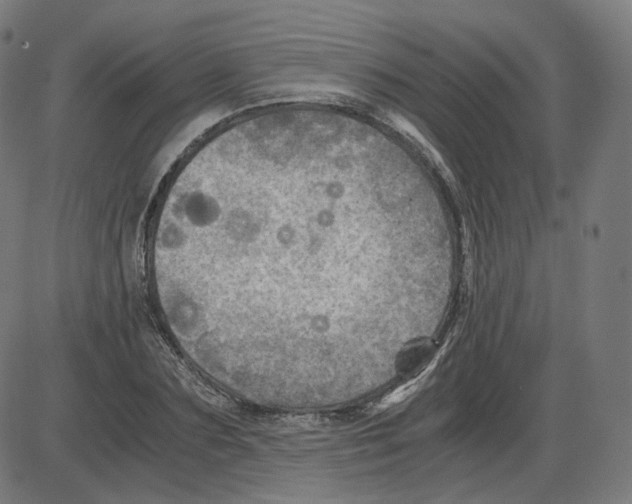 X0000084030883200703161803