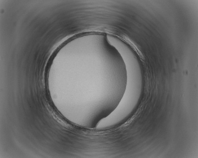 X0000084030884200703161803