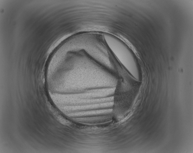 X0000084030885200703161803