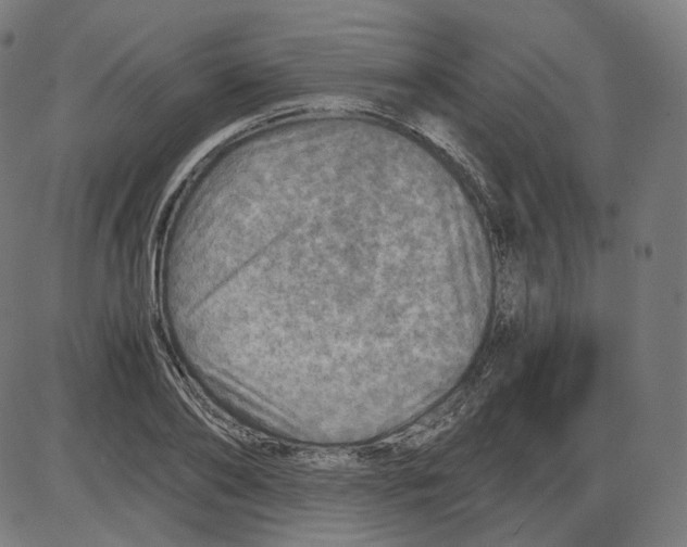 X0000084030886200703161803