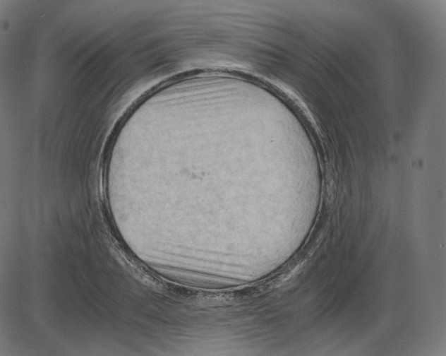 X0000084030887200703161803