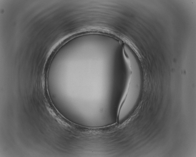 X0000084030888200703161803