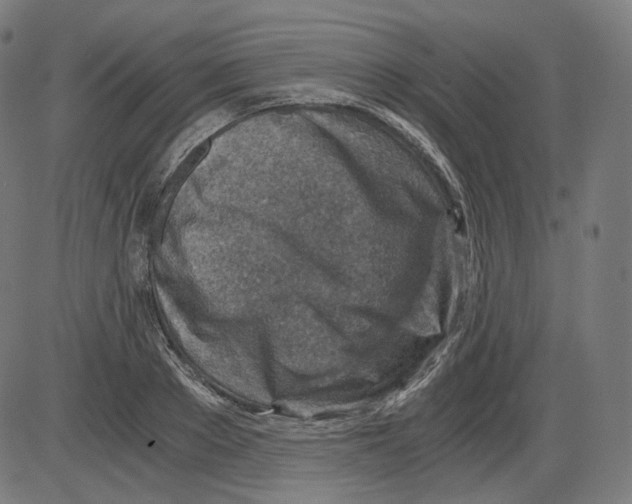 X0000084030889200703161803