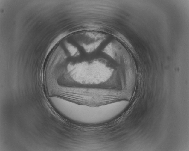 X0000084030891200703161803